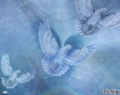 Three doves - Gratis animerad GIF