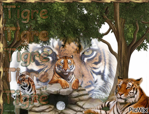Tigre - GIF animado gratis