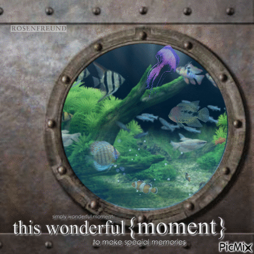 Underwater - GIF animado grátis