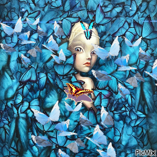 Cortina papillons - Darmowy animowany GIF