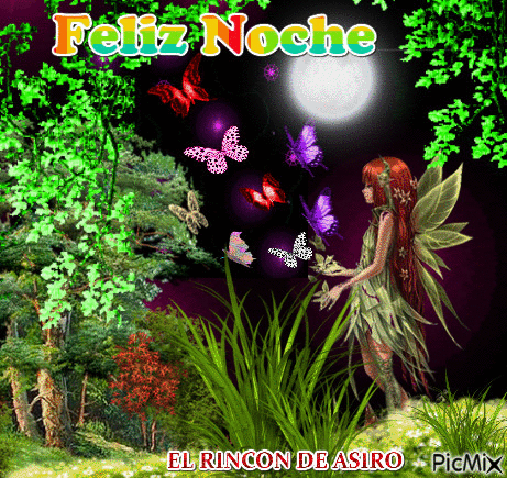 FELIZ NOCHE - Бесплатный анимированный гифка