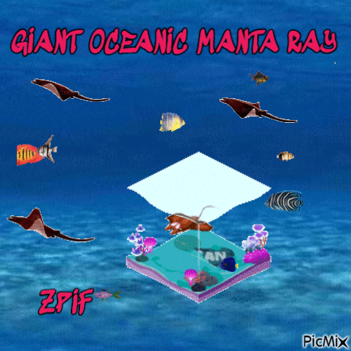 Giant Oceanic Manta Ray - GIF animé gratuit