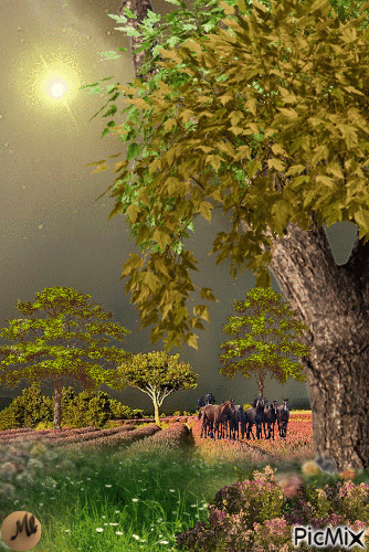 Algunos caballos juntos - 無料のアニメーション GIF