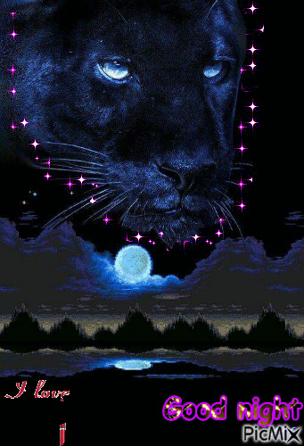 Спокойной ночи - 無料のアニメーション GIF