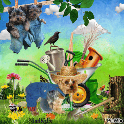 le petit jardinier - Zdarma animovaný GIF