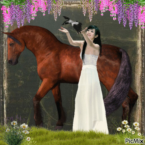 Paard met vrouw - Free animated GIF