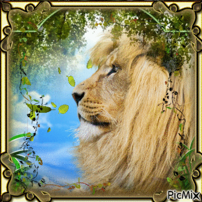 the lion - Gratis geanimeerde GIF