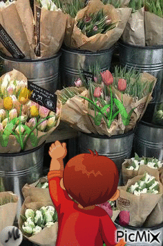 Los tulipanes - GIF animado grátis