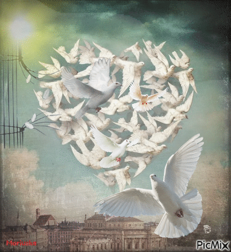 Corazón de paloma - Besplatni animirani GIF