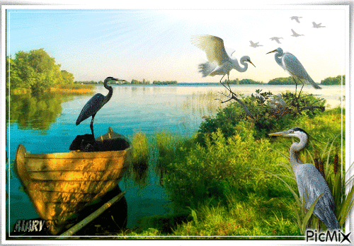 heron - Free animated GIF