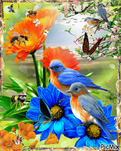 Buổi sáng ...Chim hót ' bướm lượn 'ong vo ve..Hoa đùa vui với gió - GIF animasi gratis