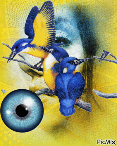 Azul y amarillo - Nemokamas animacinis gif