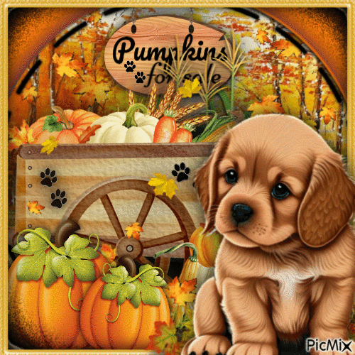 Sweet Dog in Autumn-RM-10-07-23 - GIF animado grátis
