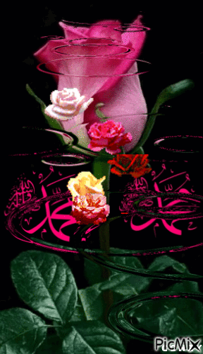 Caen rosas - Darmowy animowany GIF