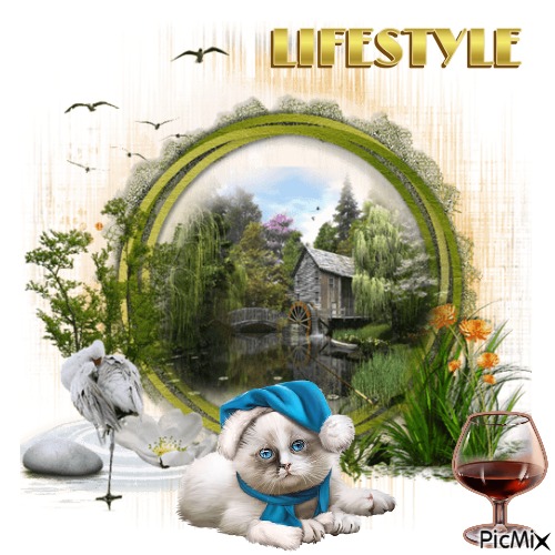 Lifestyles Of The Rich An Famous Cats - 無料png