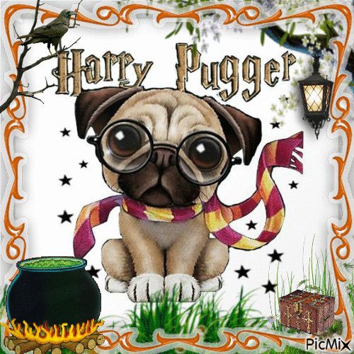 Harry Pugger - Δωρεάν κινούμενο GIF
