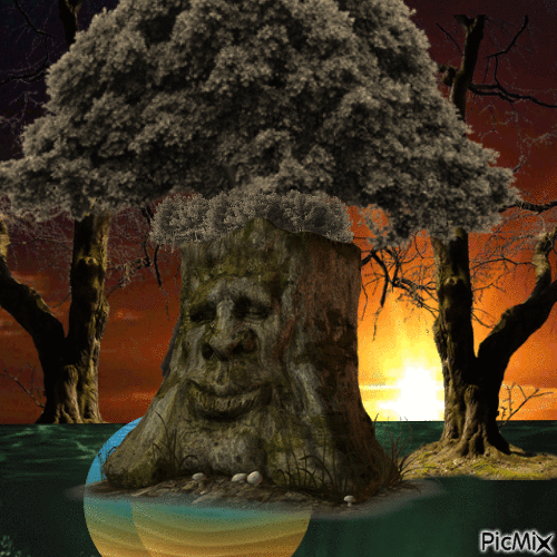 Old Man Tree - Darmowy animowany GIF
