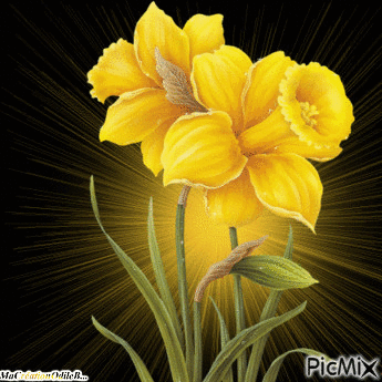 fleurs jaune - GIF animé gratuit