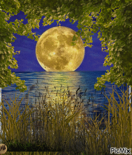 Luna en el río - Darmowy animowany GIF