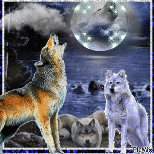 Luna y lobos - Бесплатни анимирани ГИФ