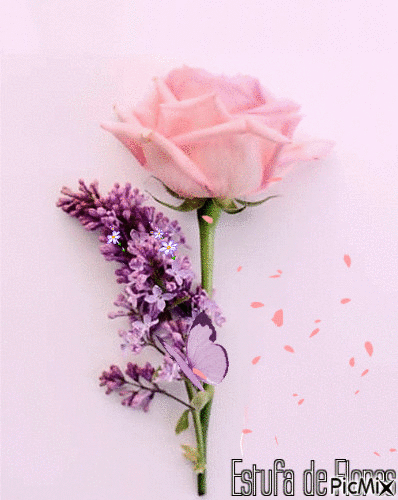 Rosa cor de Rosa - GIF animado grátis