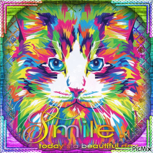 Colorful cat art - GIF animé gratuit