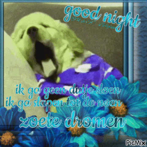 goodnight slaapwel - Gratis animerad GIF