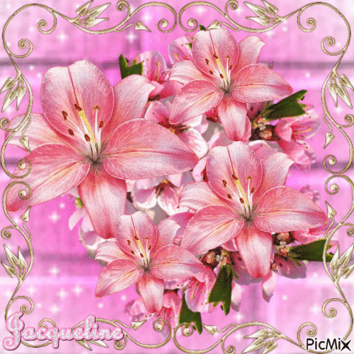 jolies fleurs - Besplatni animirani GIF