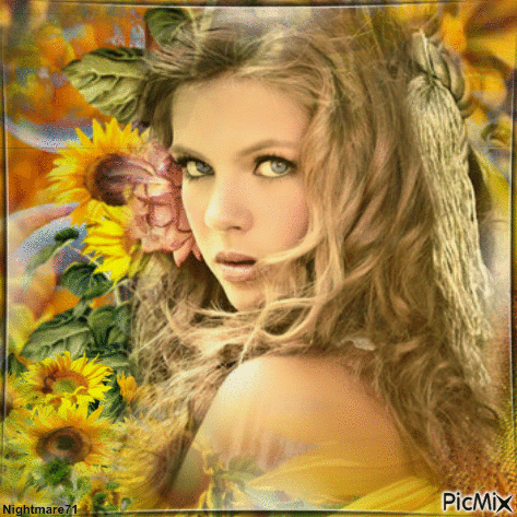 Sunflower... - GIF animasi gratis