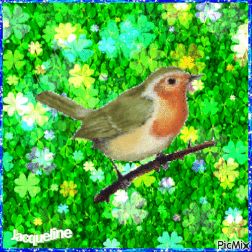 oiseau chanteur - Besplatni animirani GIF