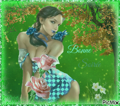 Bonne Soirée - Δωρεάν κινούμενο GIF