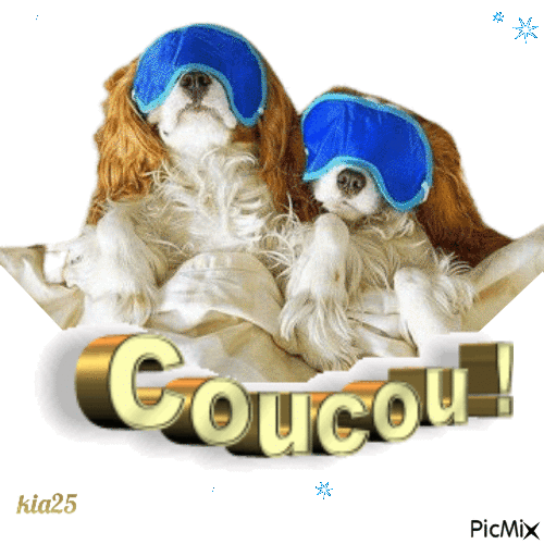 coucou - 免费动画 GIF