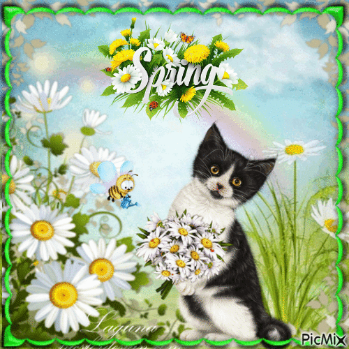 Frühling printemps spring - Zdarma animovaný GIF