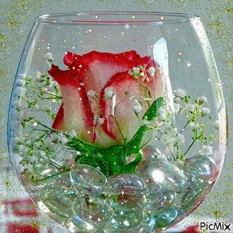 rose for you - GIF animé gratuit