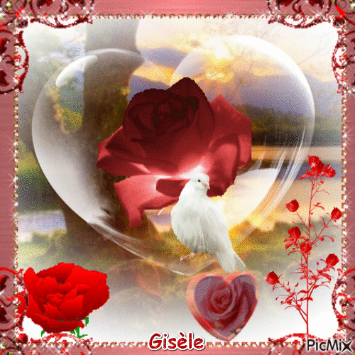 rose du matin - Nemokamas animacinis gif