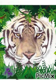 jungle - darmowe png
