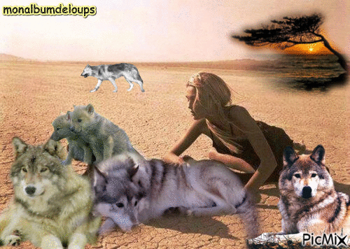 loups divers - GIF animate gratis