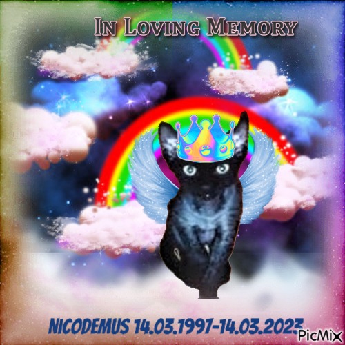 Nicodemus - png gratuito