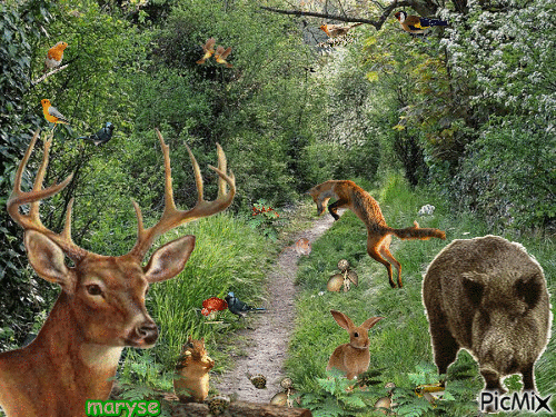 nature et animaux - Бесплатный анимированный гифка