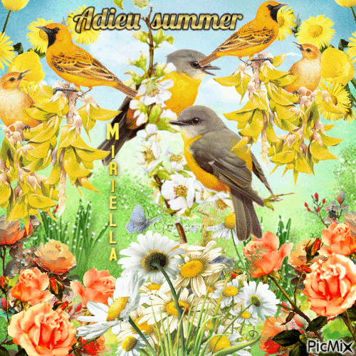 Adieu summer - Бесплатный анимированный гифка