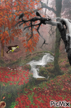 Bosque con niebla - GIF animado gratis