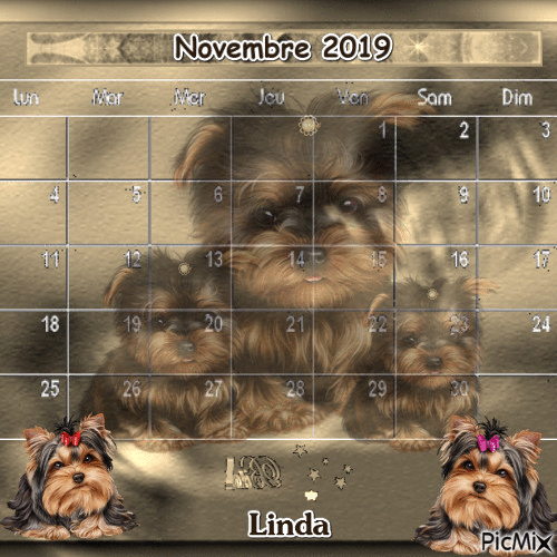 Calendrier du mois de Novembre si vous aimer je vous l,offre - Gratis animerad GIF