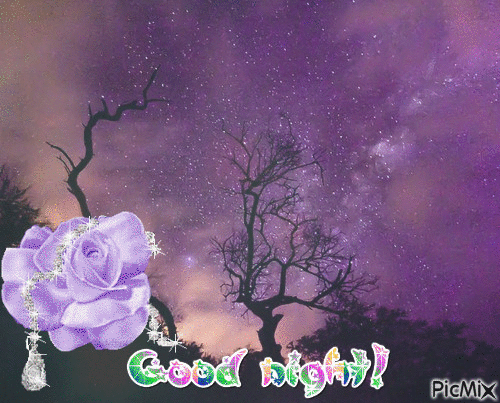 Good night! - Безплатен анимиран GIF