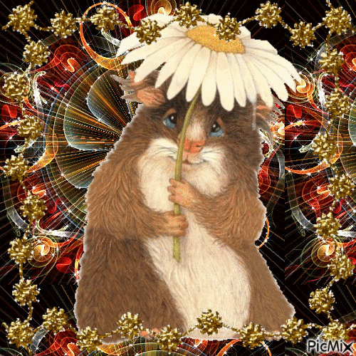marmotte - Darmowy animowany GIF