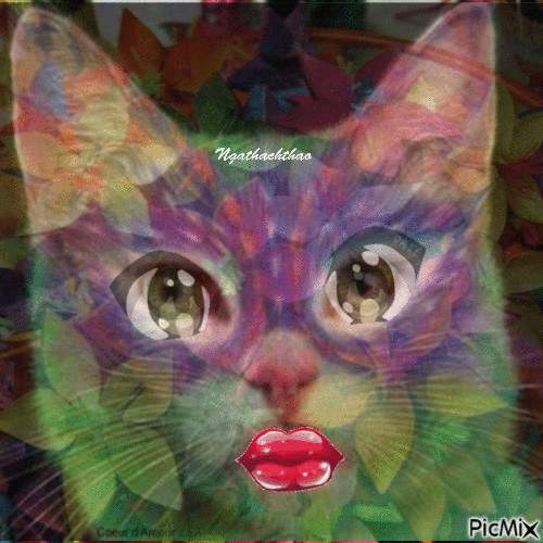 Mèo trong sáng tạo của Tôi - Gratis geanimeerde GIF