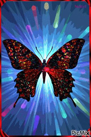 papilon - GIF animé gratuit