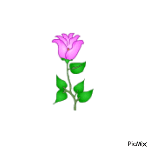 fiore - Безплатен анимиран GIF