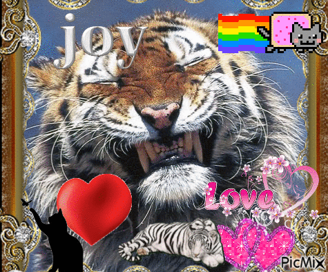 I love tigers - Gratis animerad GIF