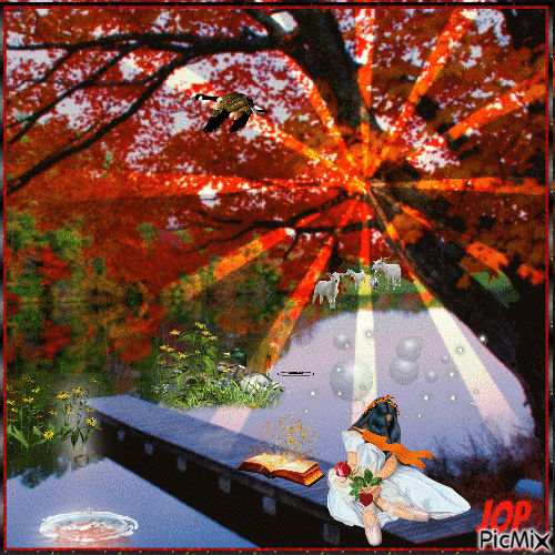 automne bohème - Darmowy animowany GIF