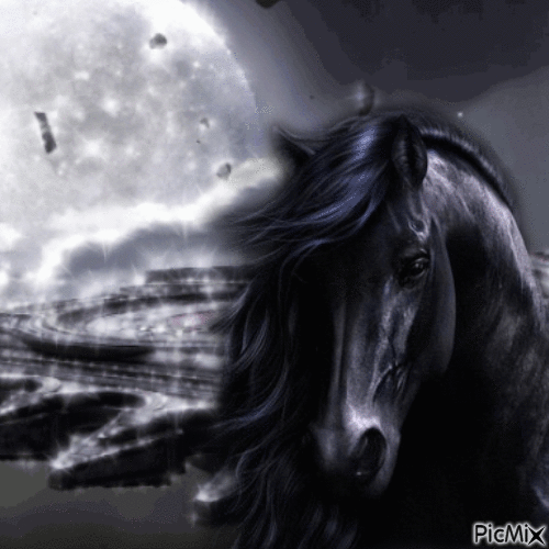 Midnight Horse - GIF animado grátis